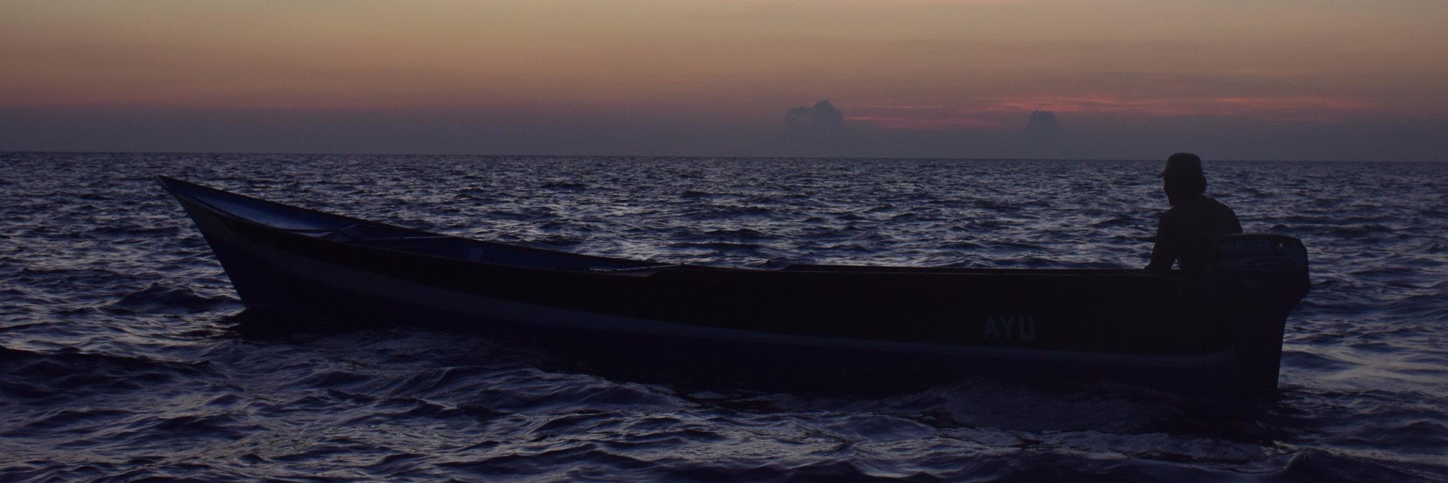 Fishing & Living banner