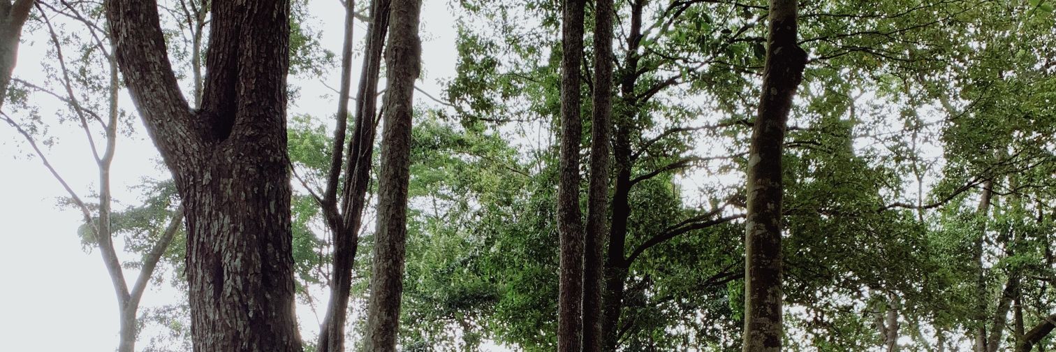 gakgituu_'s profile banner image
