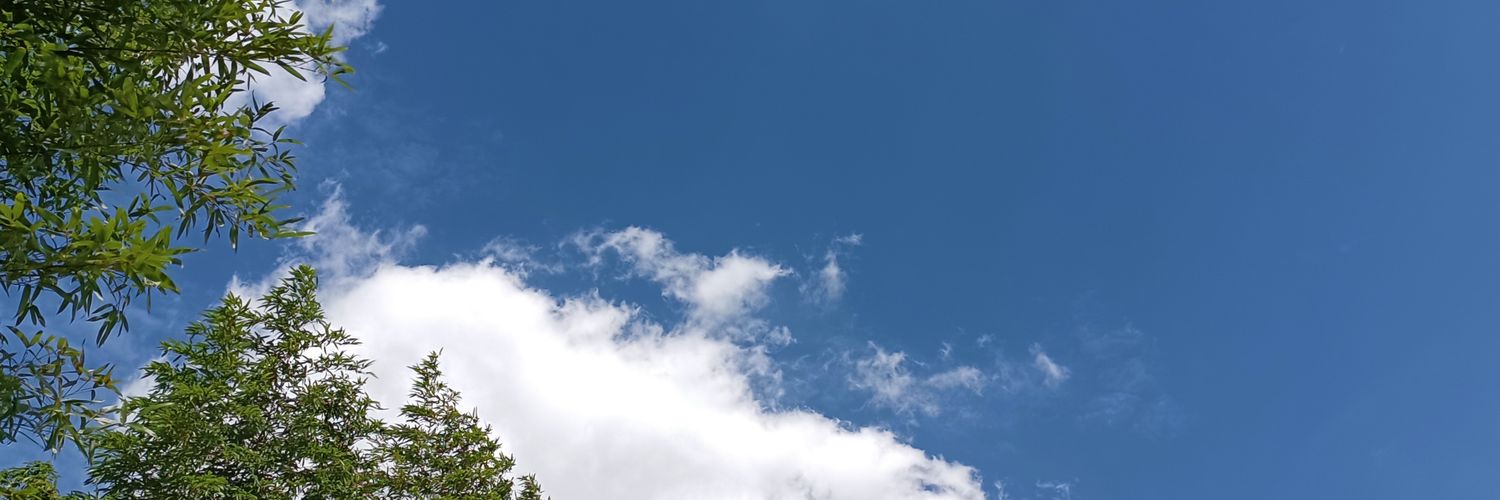 C919sh's profile banner image