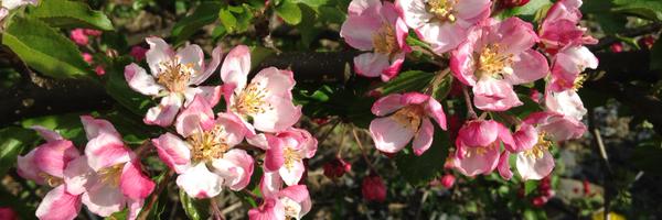 KeelaToo Profile Banner