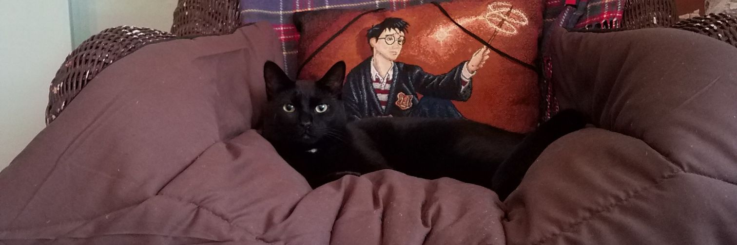 rachphoenix's profile banner image