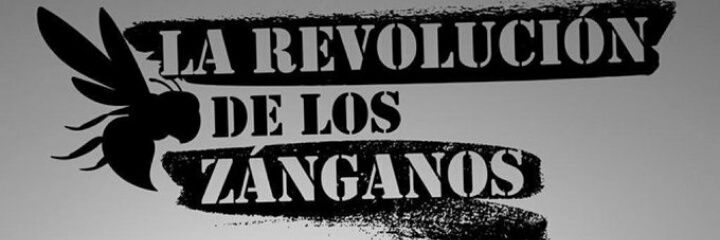 aranitapol's profile banner image