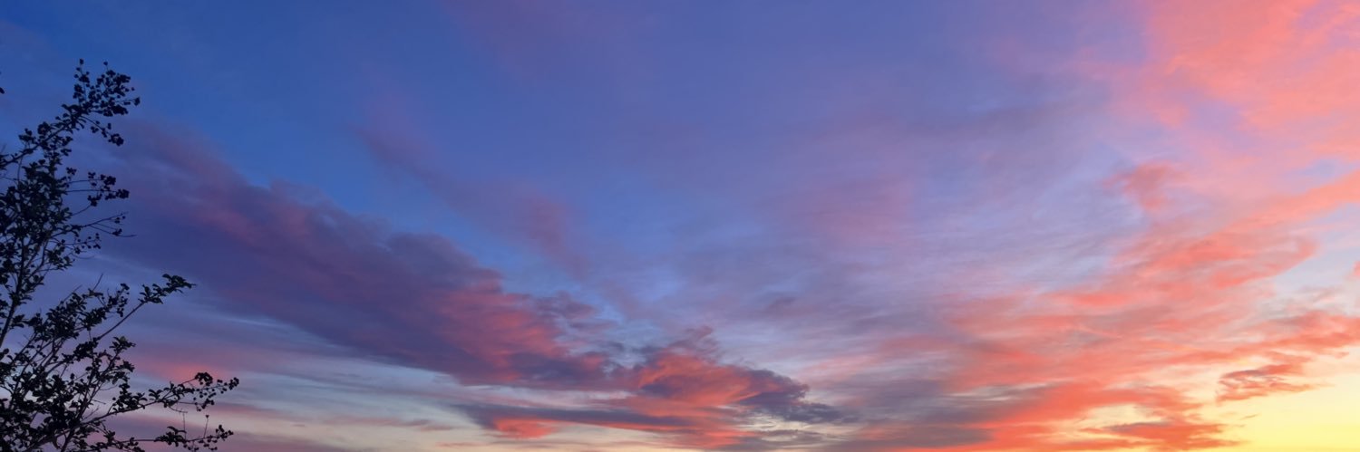 coob_ banner