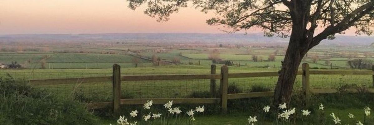 carboncopy's profile banner image