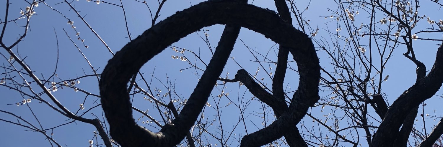 森もり(破壊ありがとう) banner