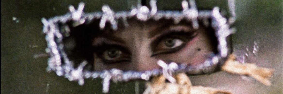 danicruzoli's profile banner image