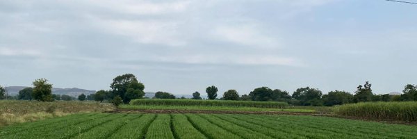 sbhogale Profile Banner