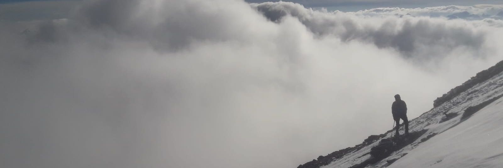 Erleyne's profile banner image