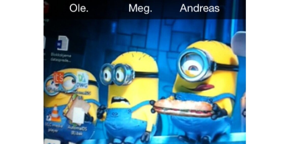 haukenes banner