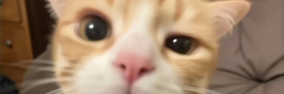 AltamirandaVale's profile banner image