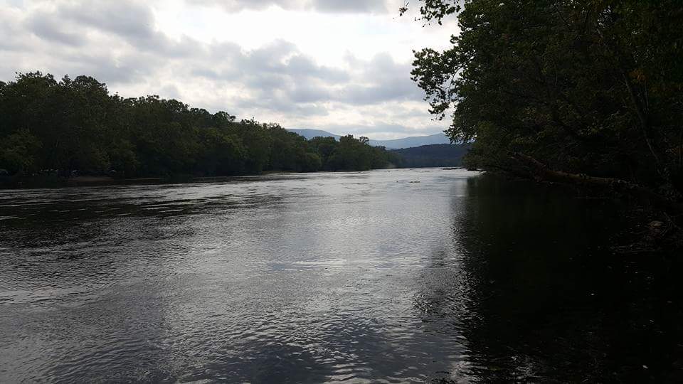 Shailesh Patel banner