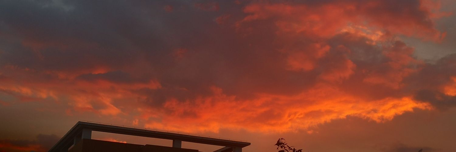 Demon_mo309's profile banner image