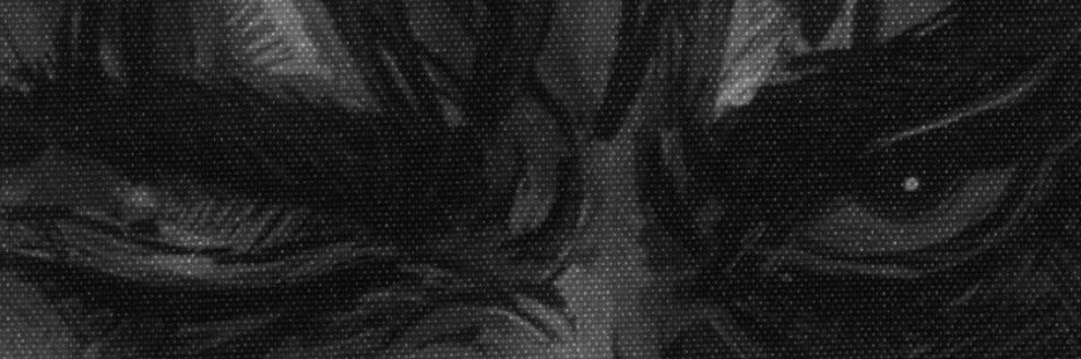 Nasem banner