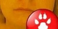 EdeRosemary's profile banner image