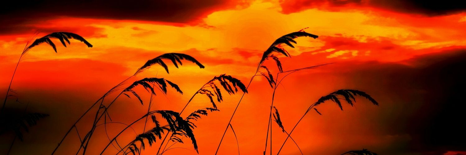 SirHisham's profile banner image