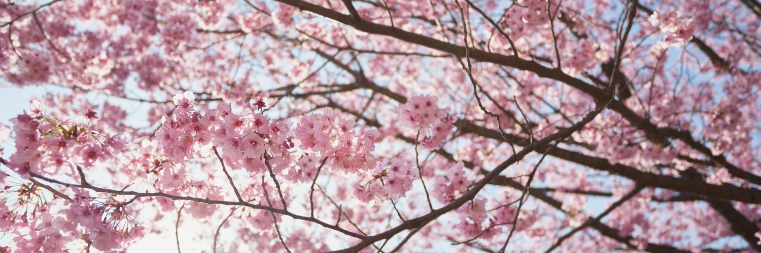 Elsa Llenderrozas banner