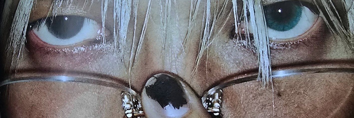 pocamonka🐈‍⬛ banner