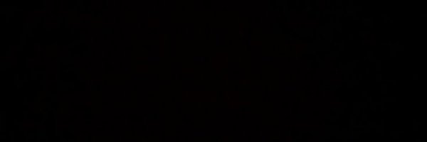 merneswings Profile Banner