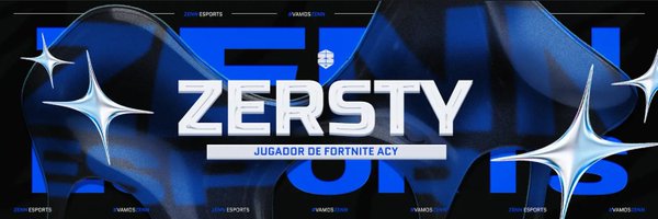 zerstyy Profile Banner