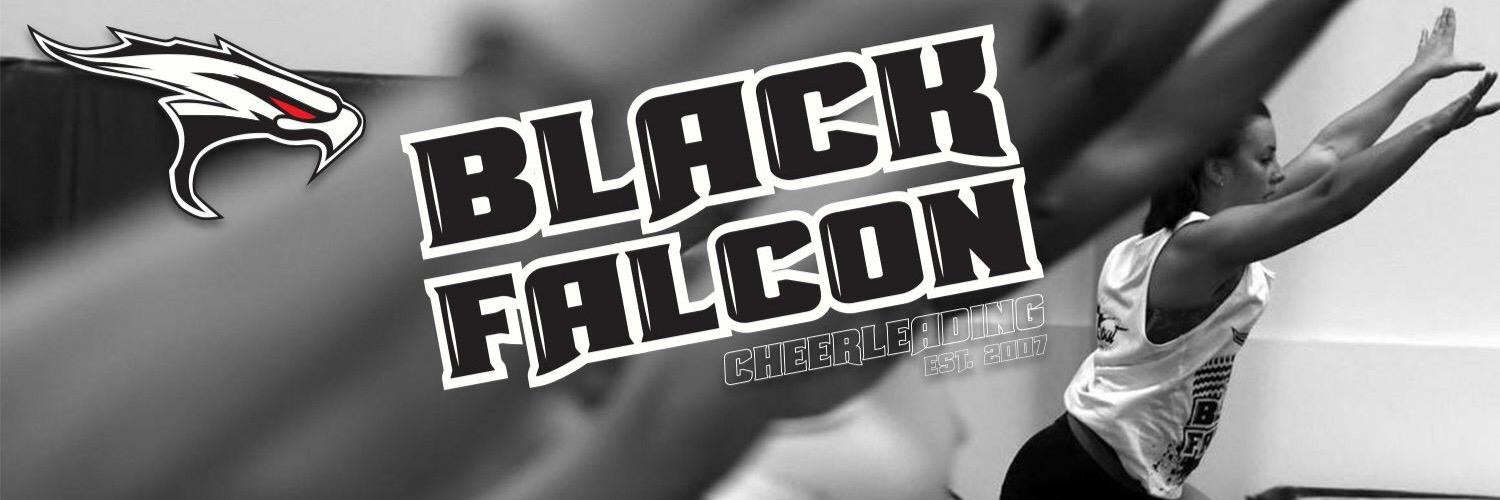FanshaweBlackFalcons banner