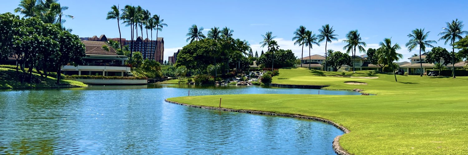 mar17golf's profile banner image