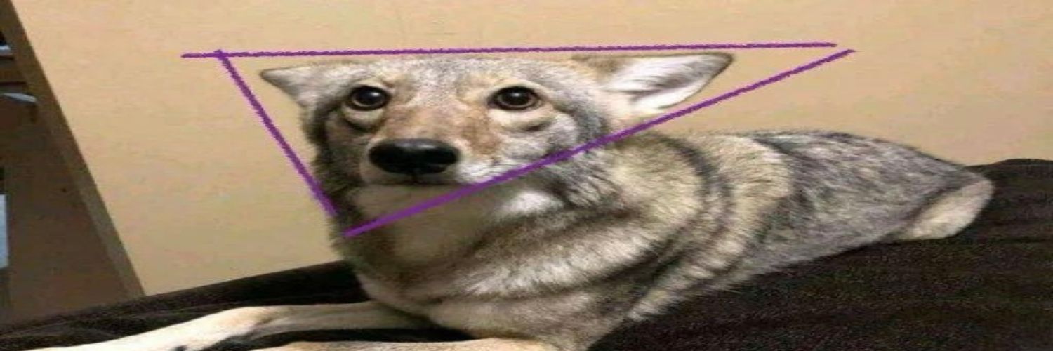 Kelp 🇵🇸 banner