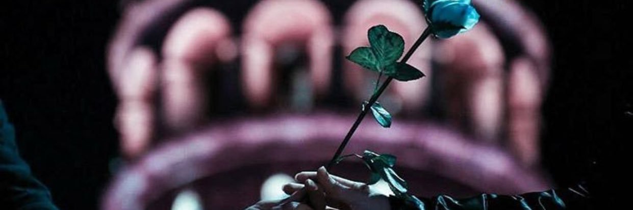 Fatmaerten2515's profile banner image