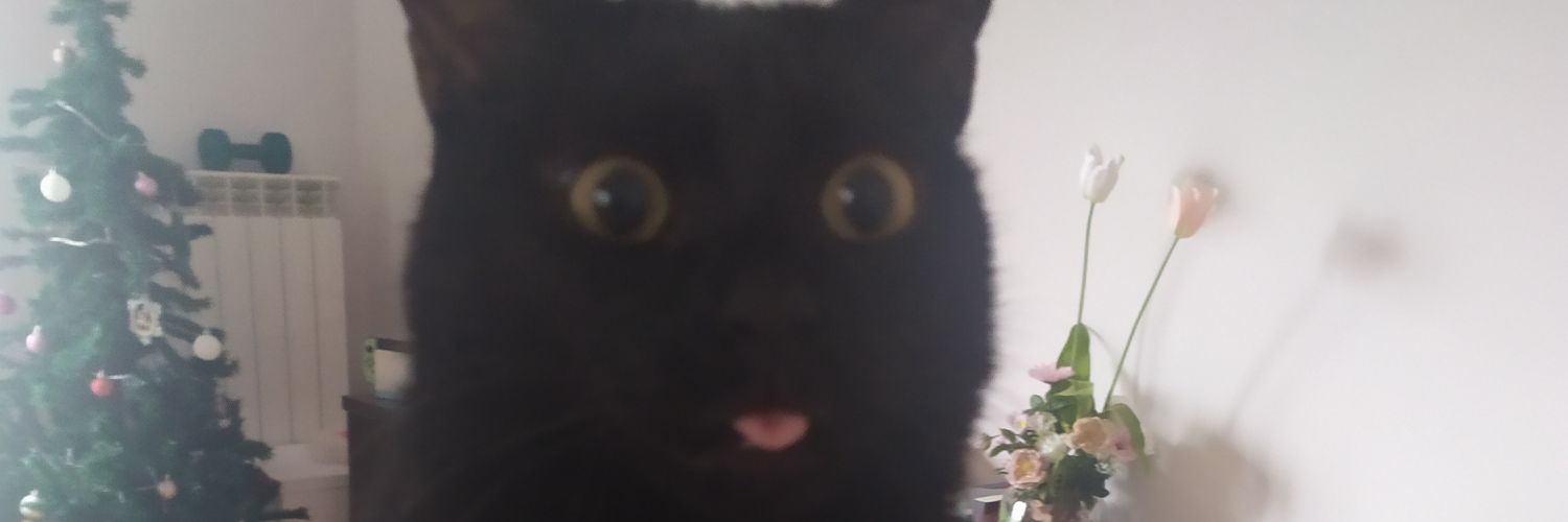 paula peralta pozanco. 🖤🤍 banner