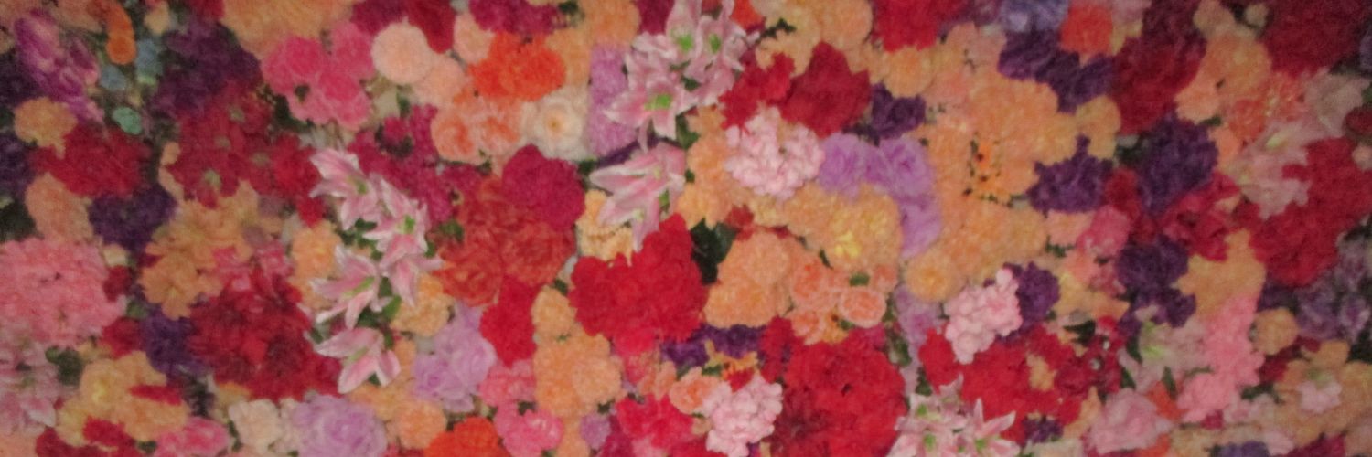 εїз van banner