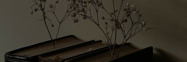 eri_candothis Profile Banner