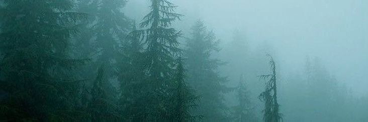 OASISxREB's profile banner image