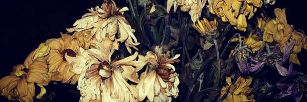 suplada's profile banner image