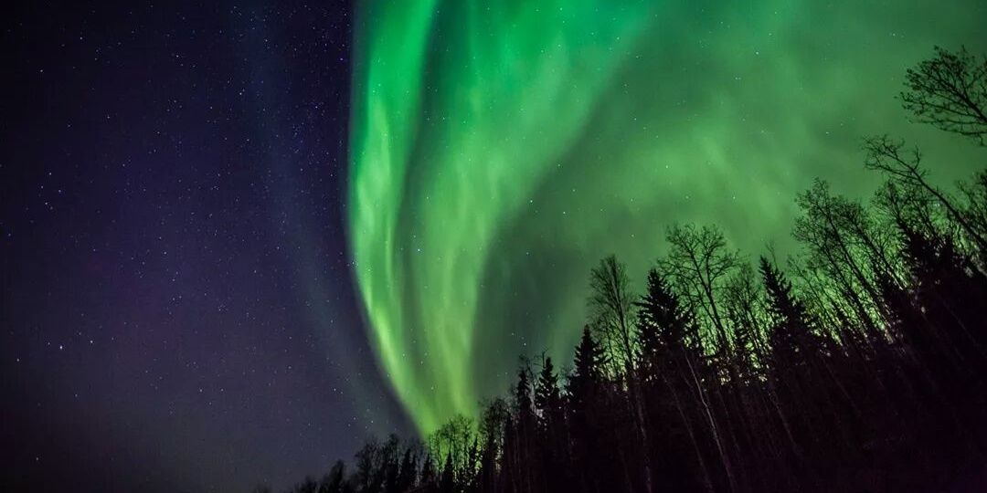 Film UAFairbanks banner