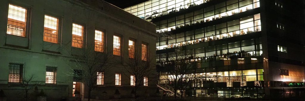 Michael Williams banner