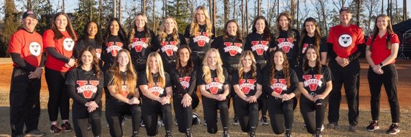 VState_Softball Profile Banner