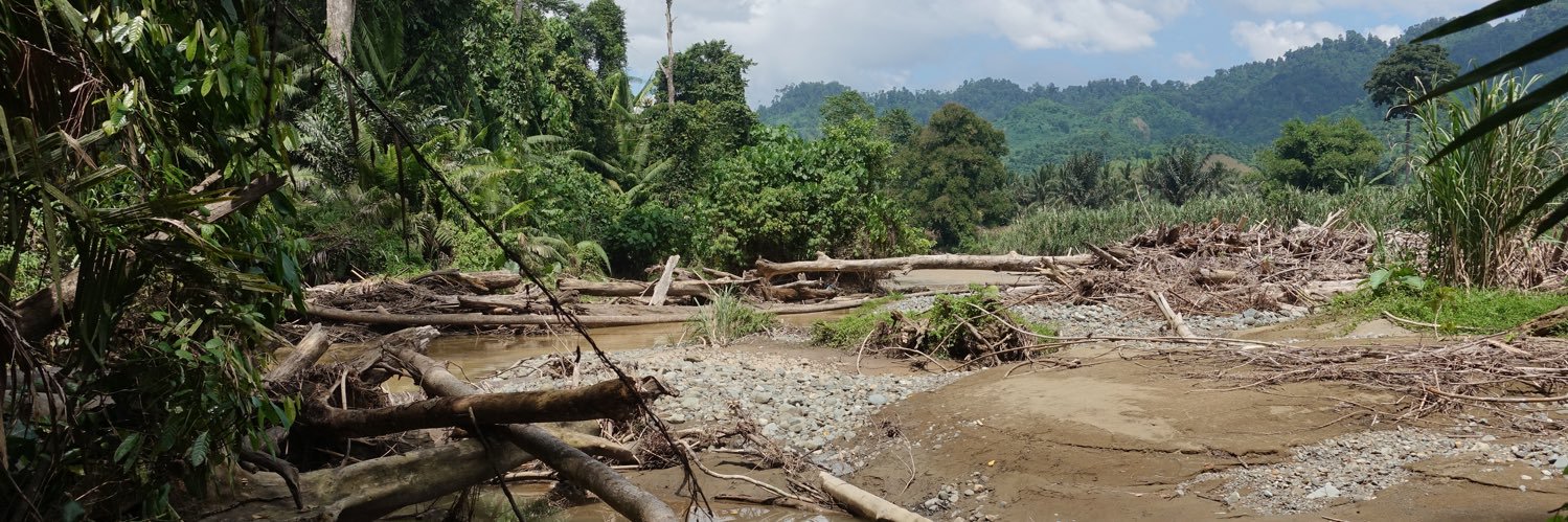 Tuija Sonkkila banner