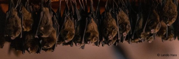 Helmholtz_HIOH Profile Banner