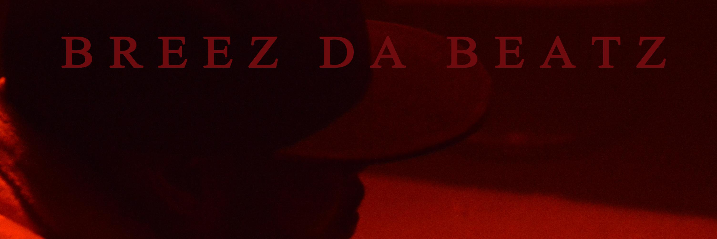 Breez Da Beatz banner