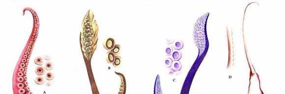 Jess the Writer banner