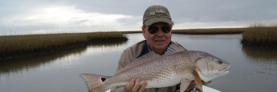 Gary T. Grigg banner