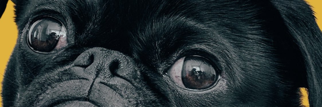 AlamoWell's profile banner image