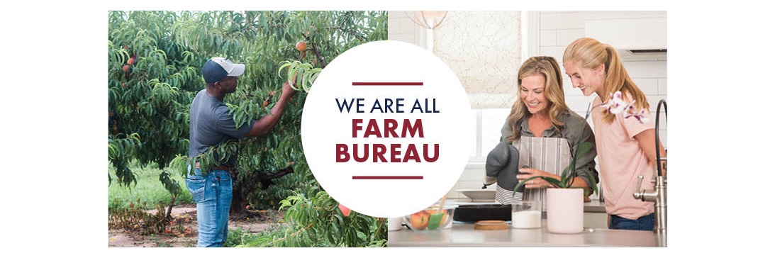 Georgia Farm Bureau banner