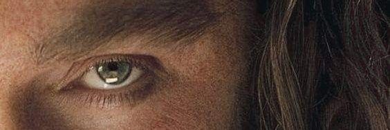 Thorin TR banner