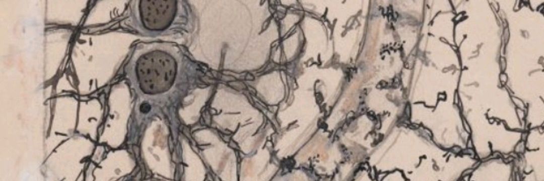 irmaneror's profile banner image