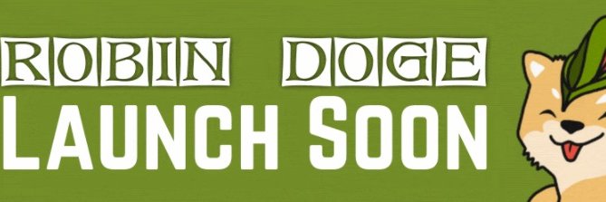 Robin Doge 🏹 banner