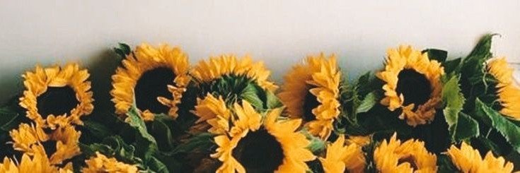 magisosaa's profile banner image
