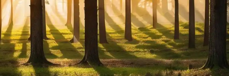 a0952251117's profile banner image