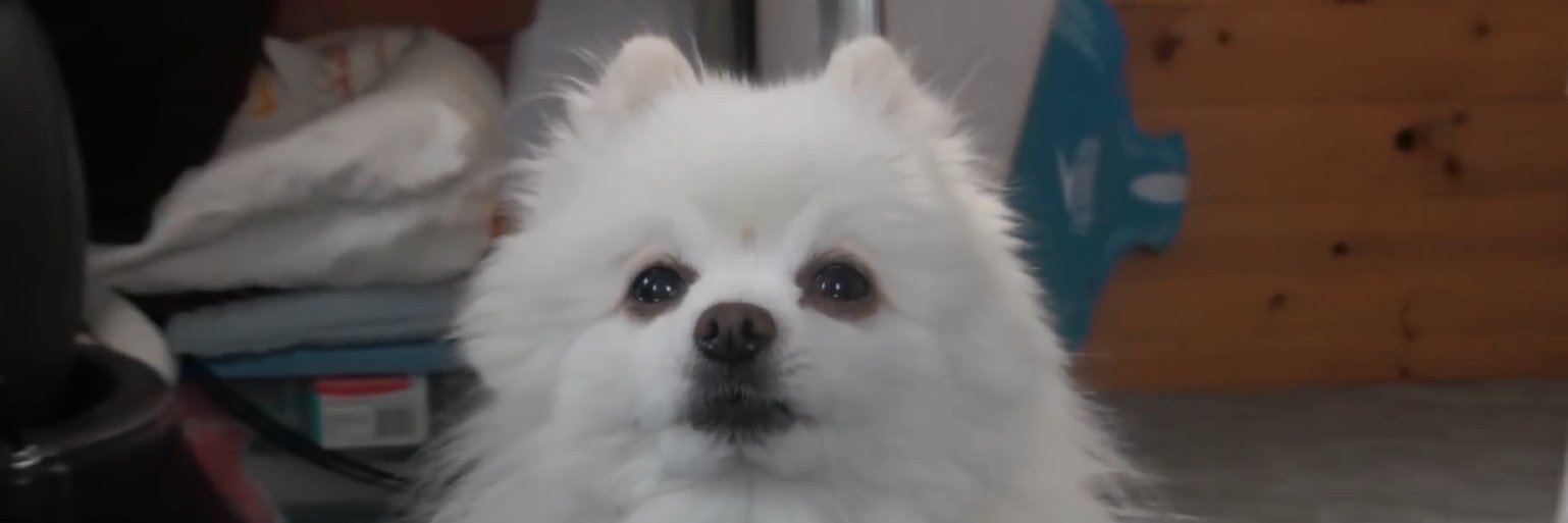 GrinnValesti's profile banner image