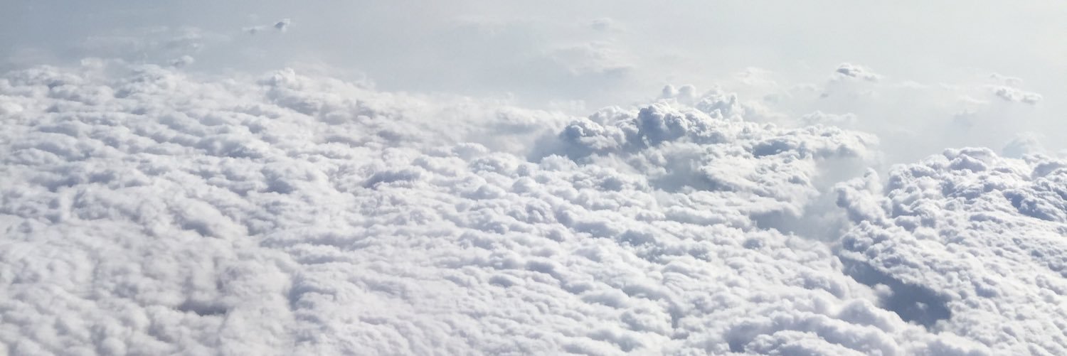 rochi2788's profile banner image