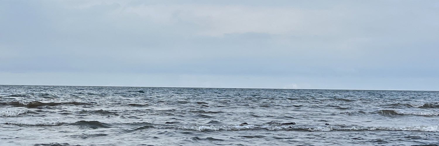 chewingdumb's profile banner image